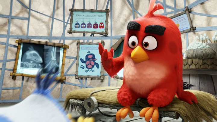 angry birds