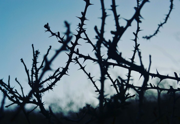 In the evening.