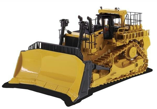 cat1