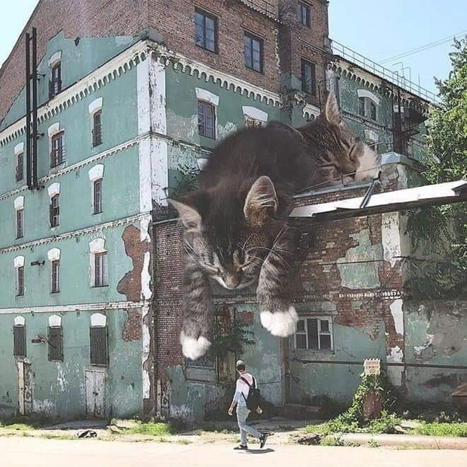 cat Art