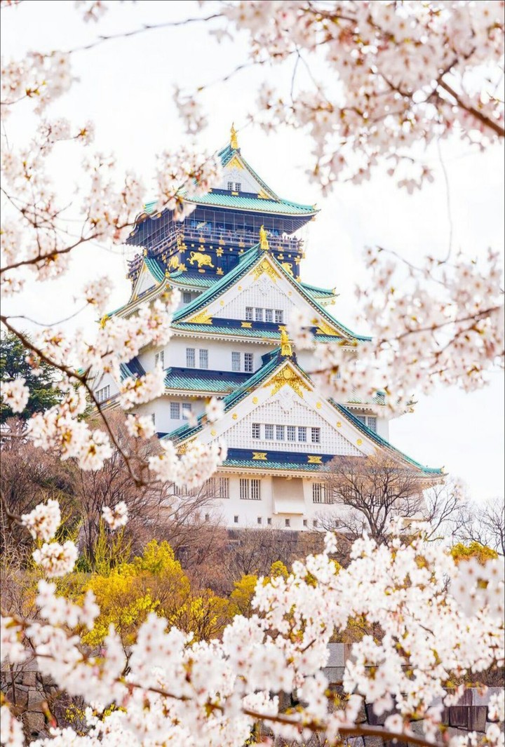 scape in Asian stile
