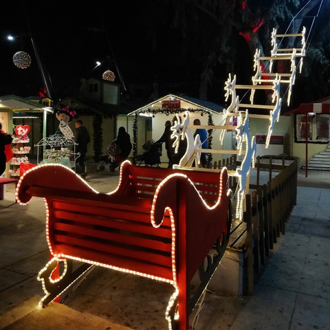 Santa's Sleigh