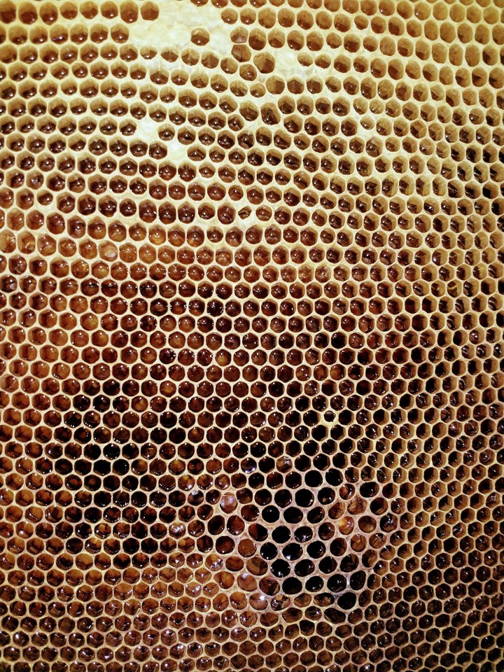 Honeycomb