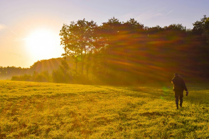 walking in the morning
