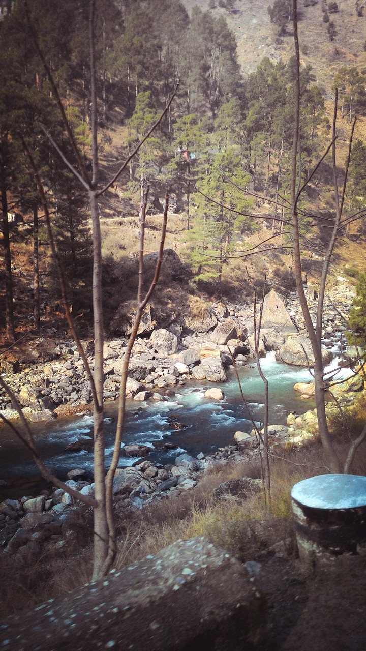 nature