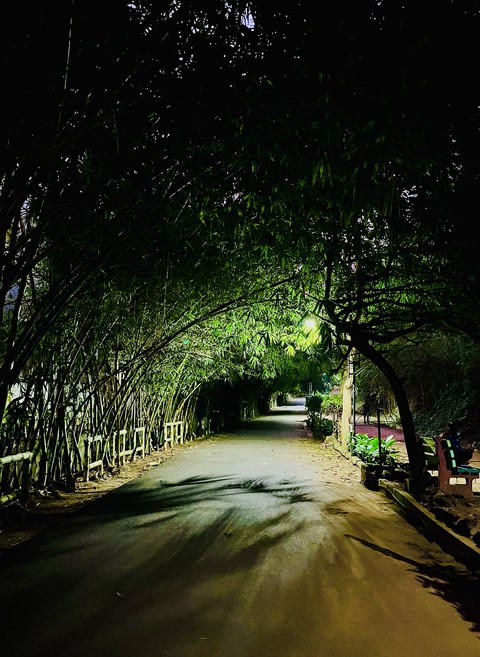 ταπετσαρίες Shade, trunk