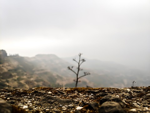 hills