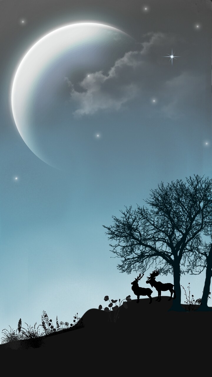 Twilight