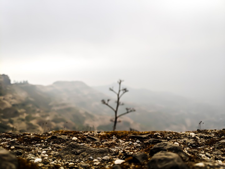 hills