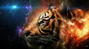 tiger