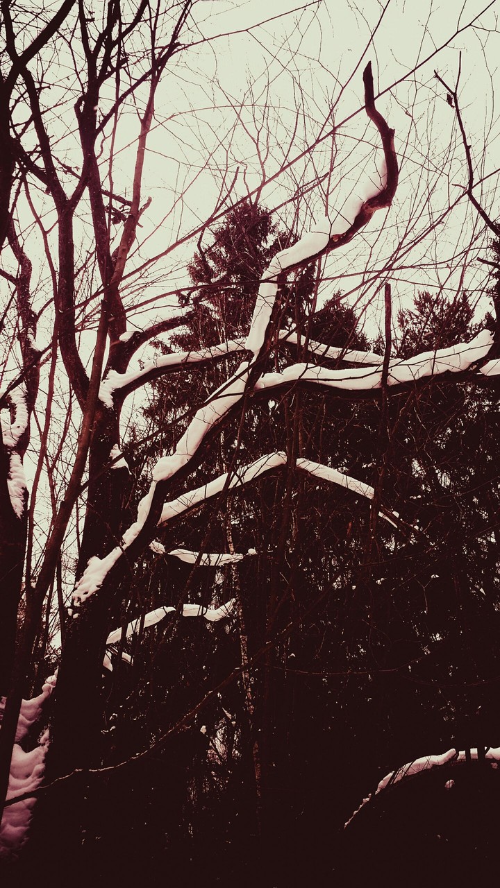 waiting for spring