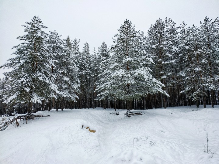 winter