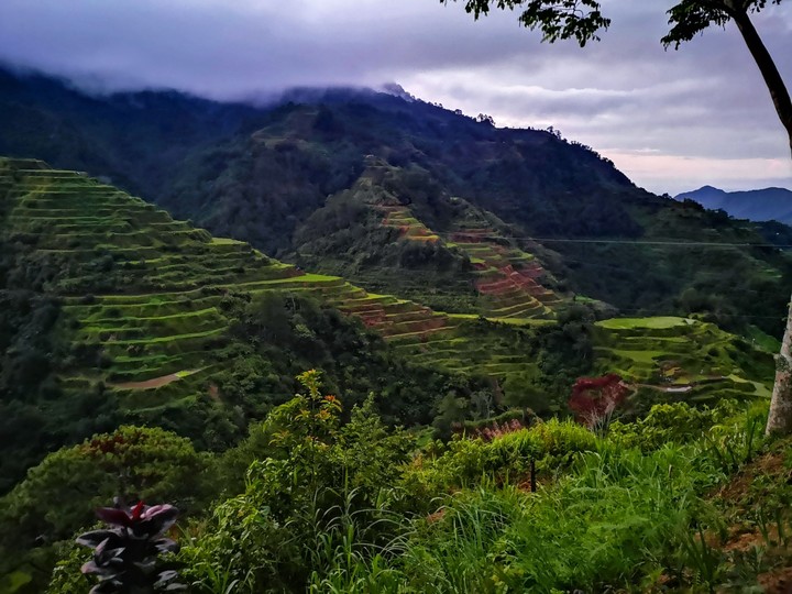 banaue raice terraces