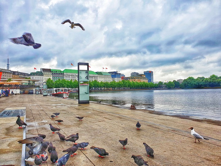 Alster , Lake
