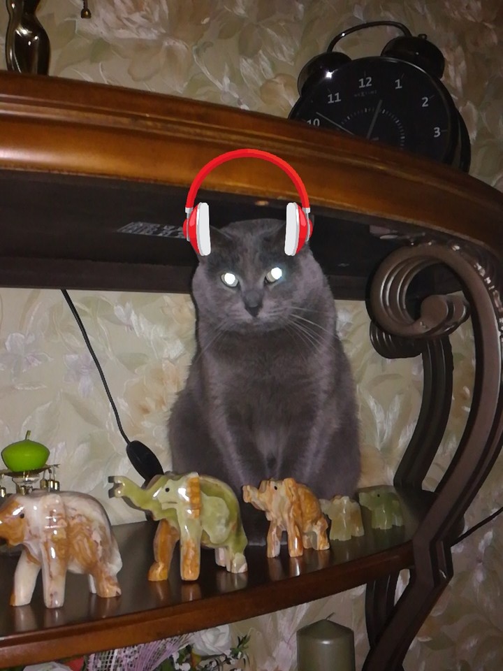 слушатель музыки