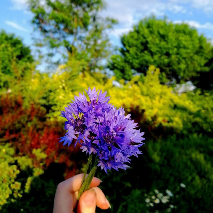 colorful