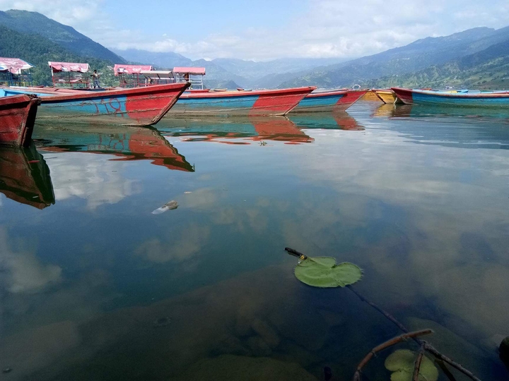 phewa lake