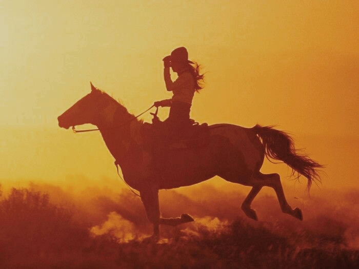 Riding Western Horse