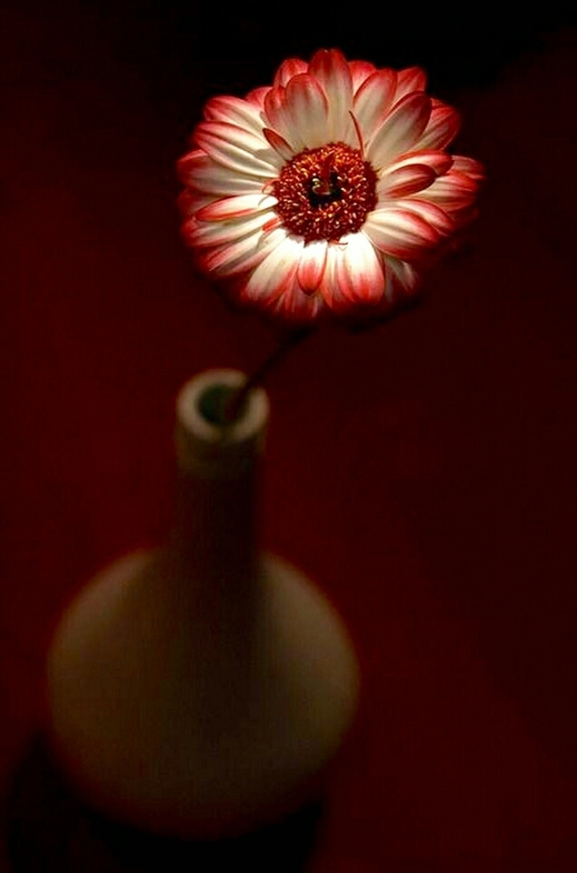 super flower 
