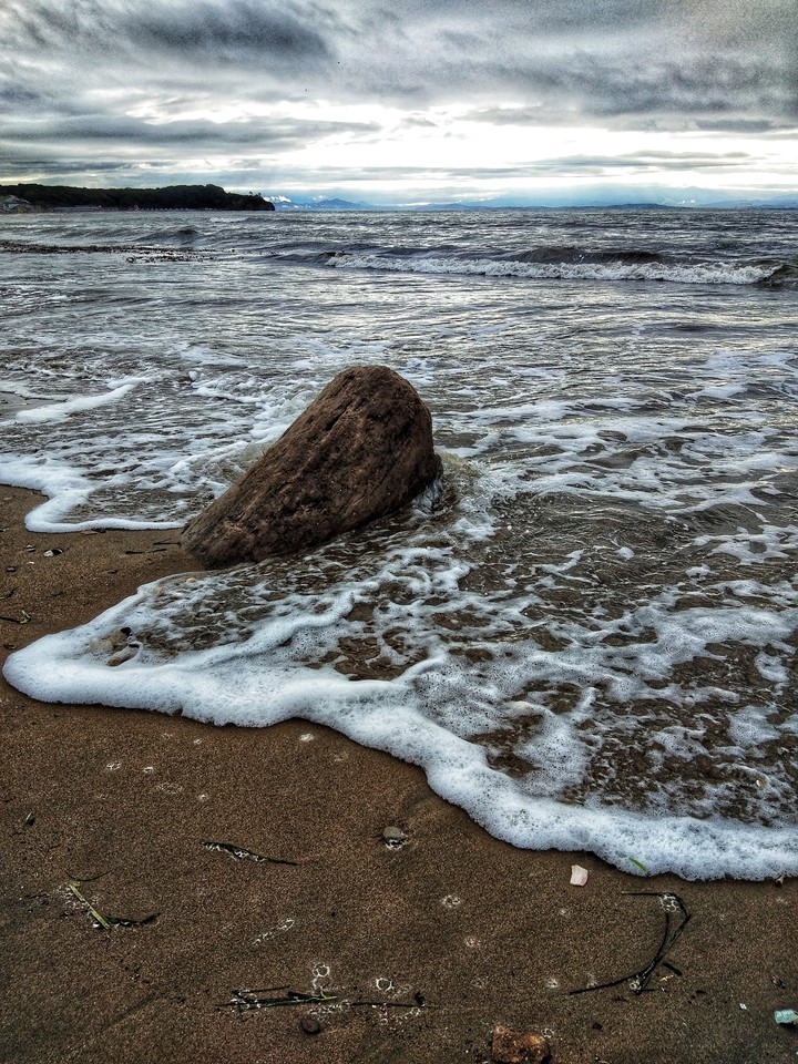 sea stone