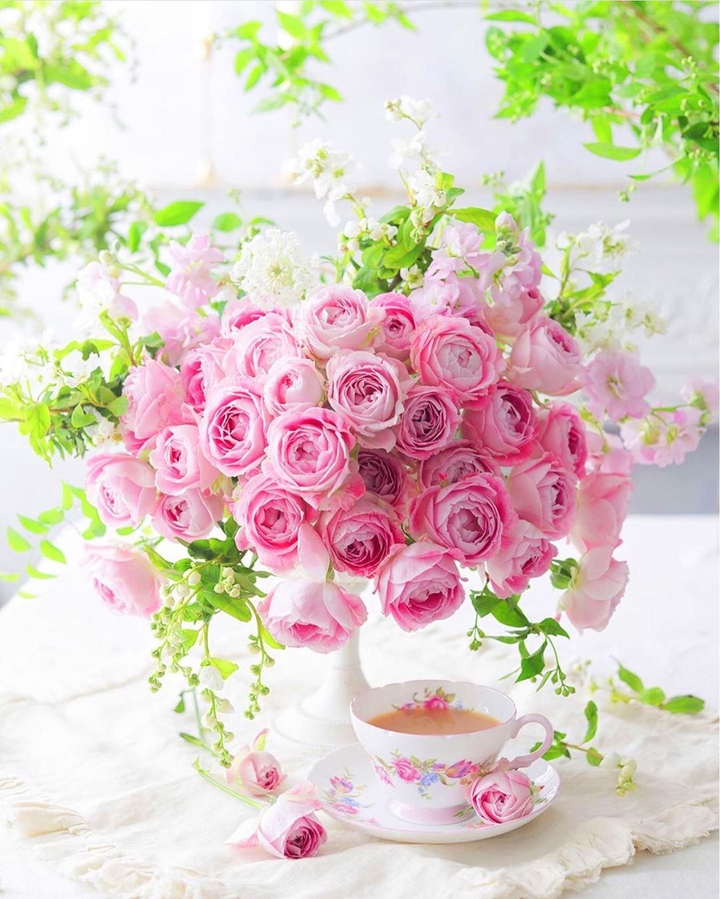 Rose and Coffee