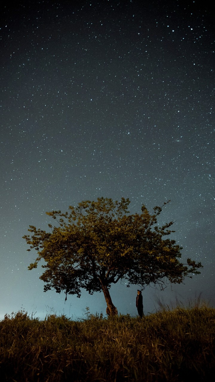 under the night sky....