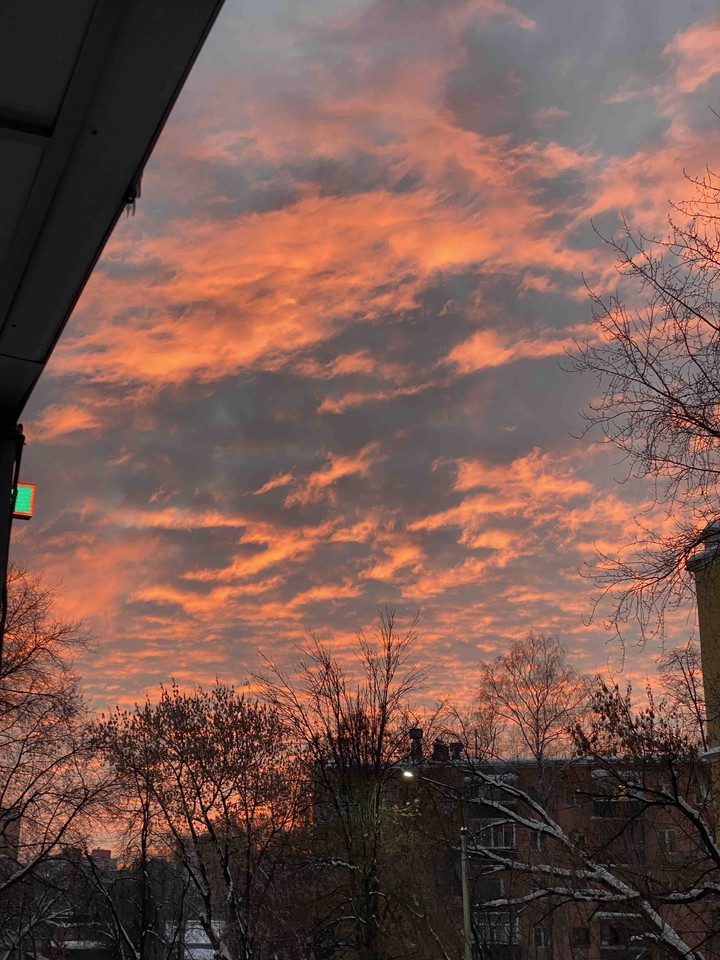 sunset