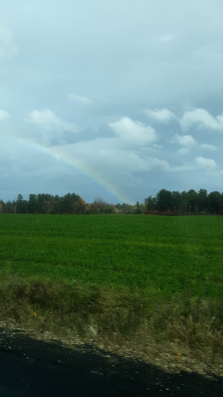 Rainbow