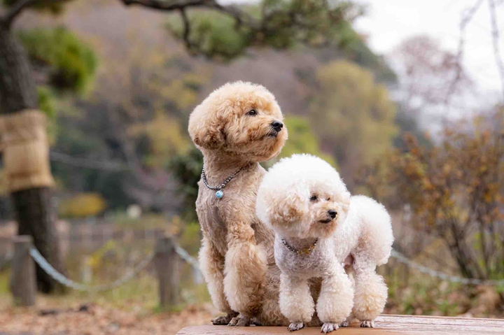 Lucky & Money