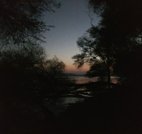 Early morning