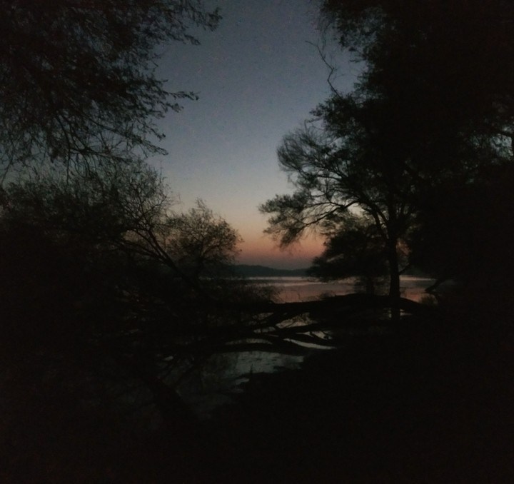 Early morning