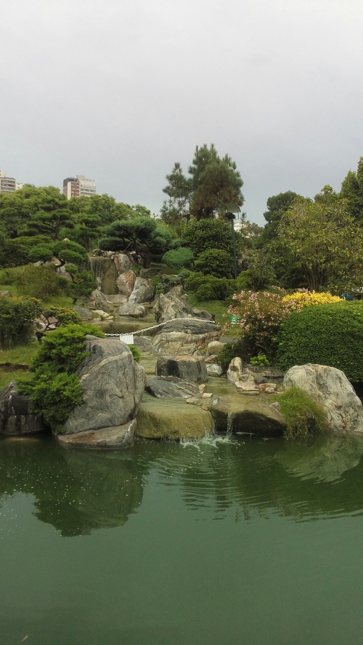 Cascada - Jardín Japonés