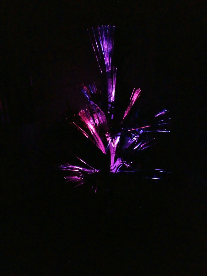 mini Cristmas tree