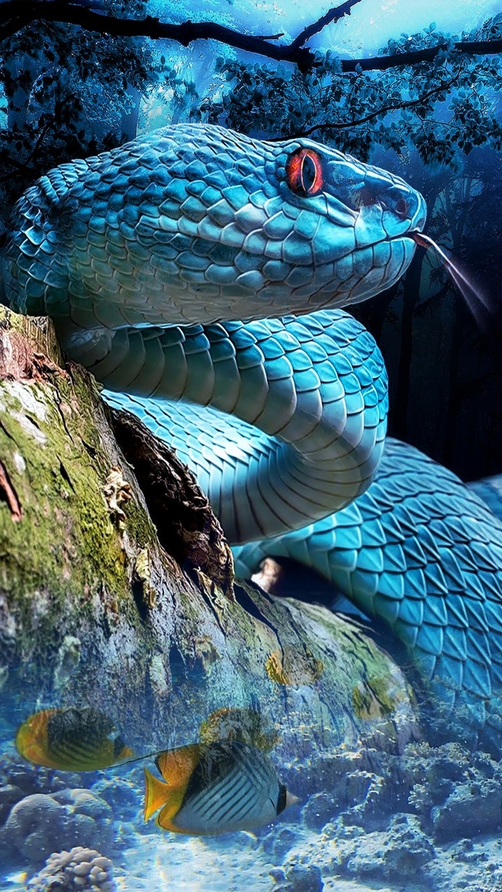 Snake