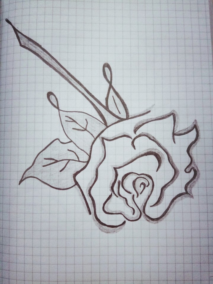 çizim