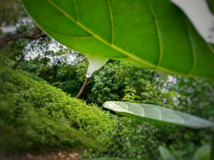 time photograph