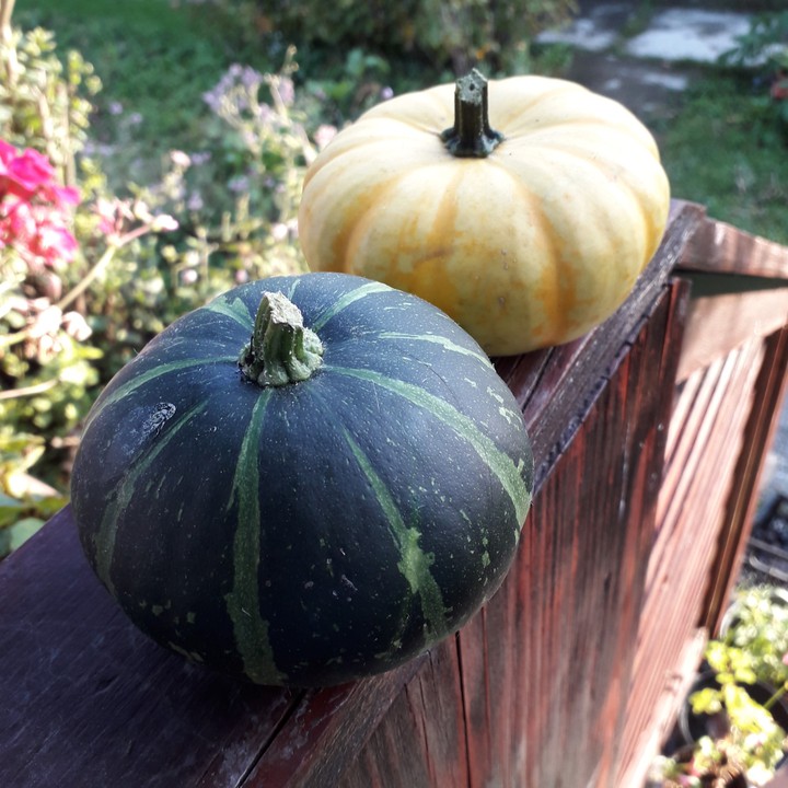 pumpkins on the staircase