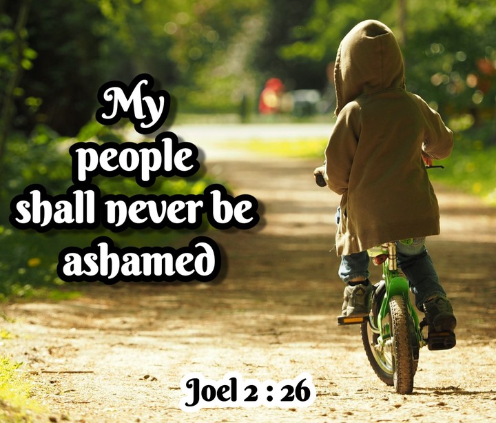 Bible promise