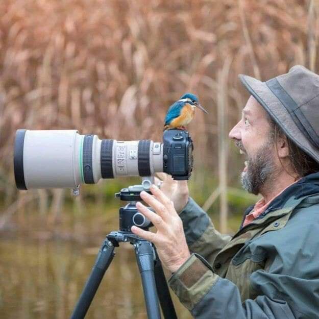 *