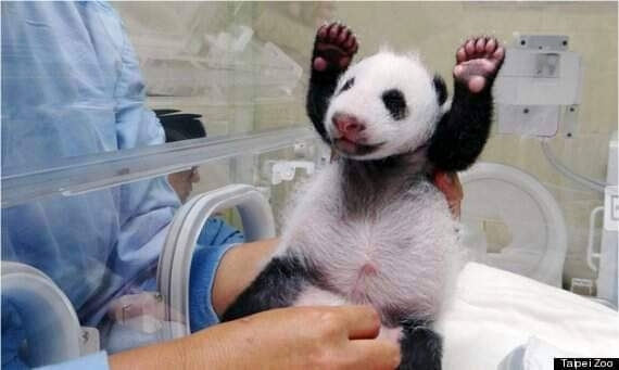 no more.....it tickles