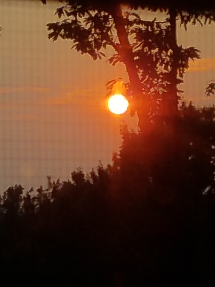 sun beam