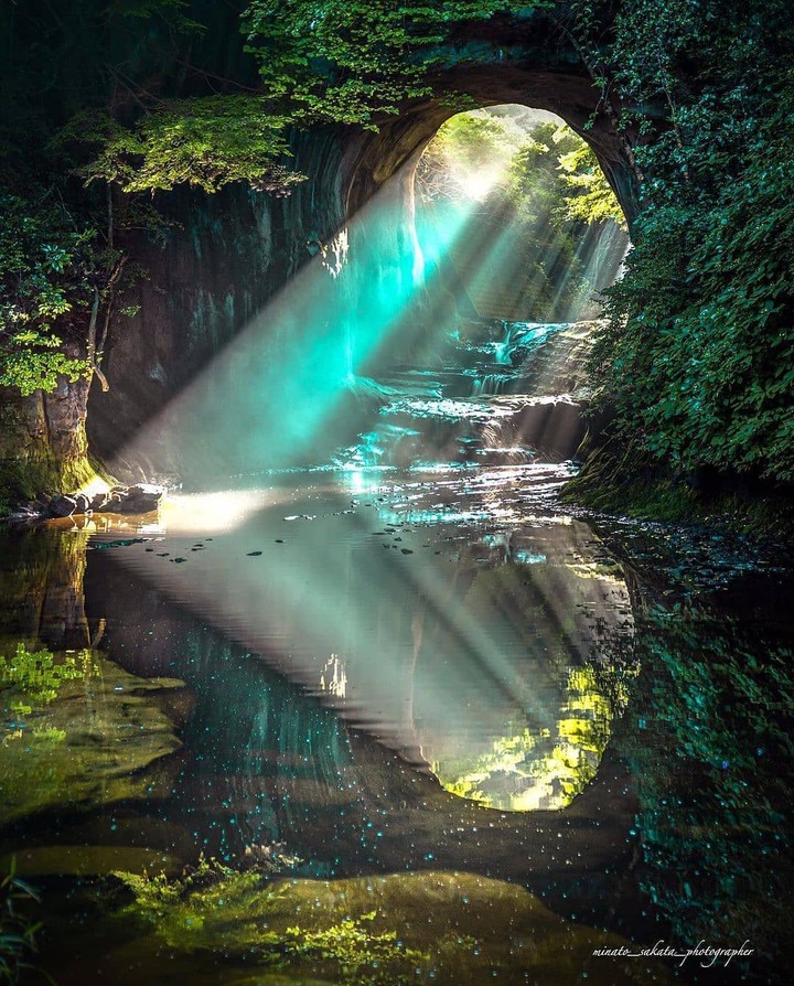perfect reflection