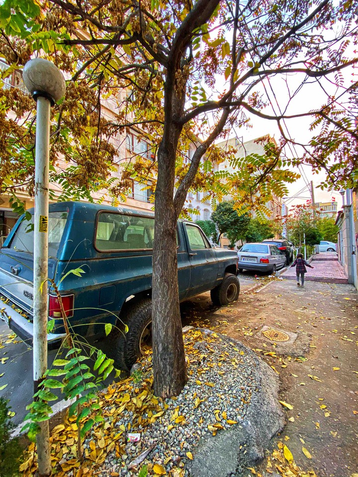 autumn ?
