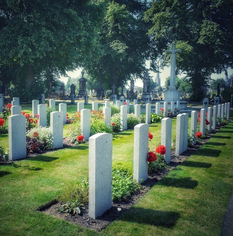vegetation, cemetery वॉलपेपर