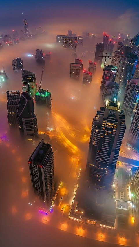 FOGG
