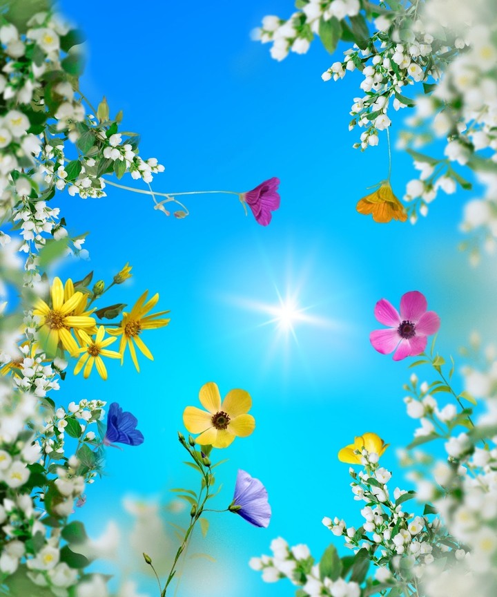 wallpaper...