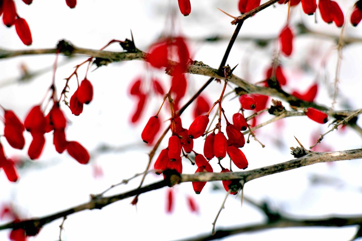 winter
