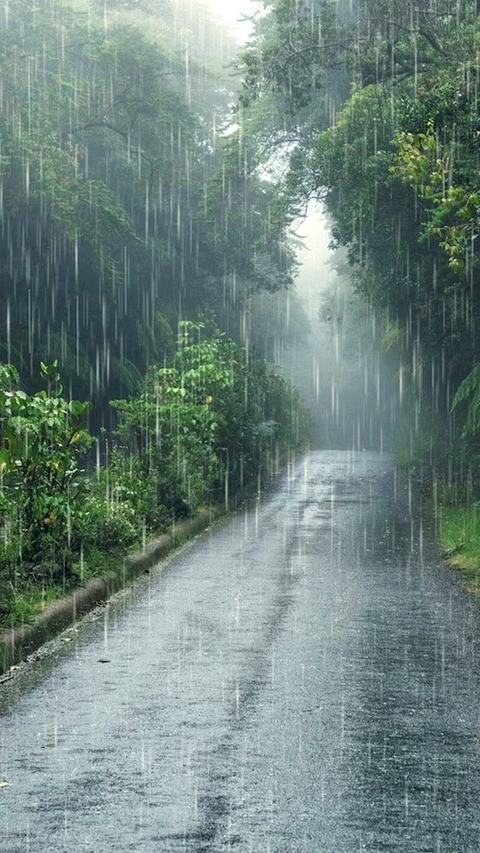 precipitation, moisture wallpapers