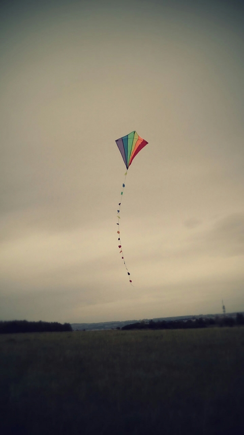 kite in the sky