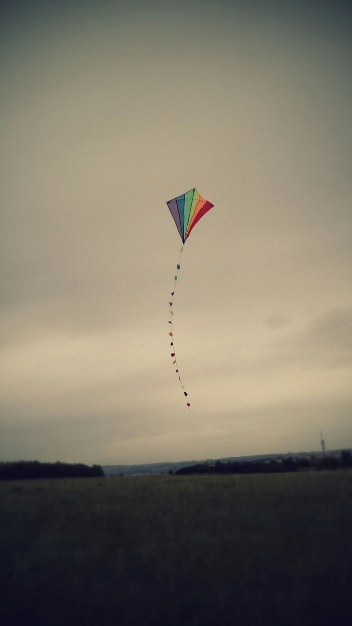 kite in the sky